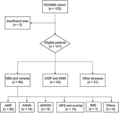 Anti-ganglioside Antibodies in Guillain-Barre Syndrome: A Novel Immunoblotting-Panel Assay